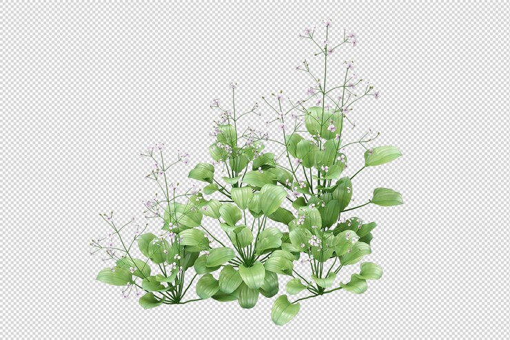 Herbe isolée en rendu 3d