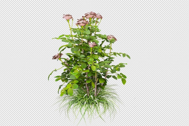 Herbe isolée en rendu 3d