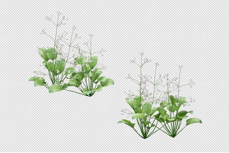 Herbe isolée en rendu 3d