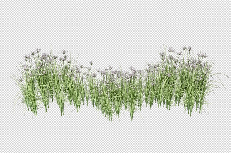Herbe isolée en rendu 3d