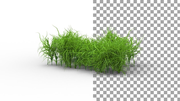 Herbe de la jungle avec rendu 3d de l'ombre