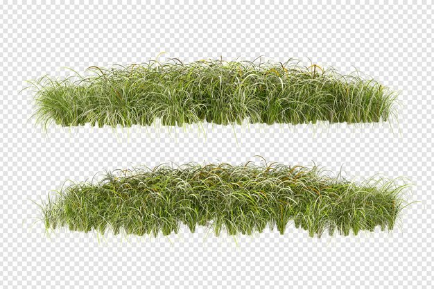 Herbe en rendu 3d isolée