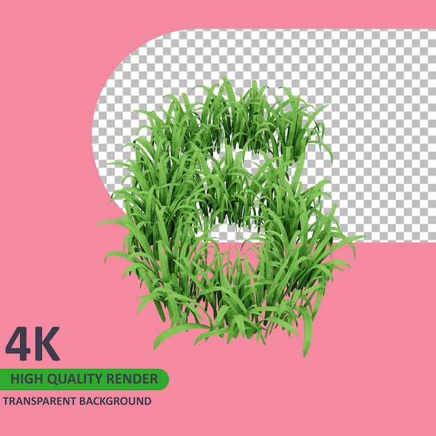 L'herbe de rendu du modèle 3D forme le numéro 6