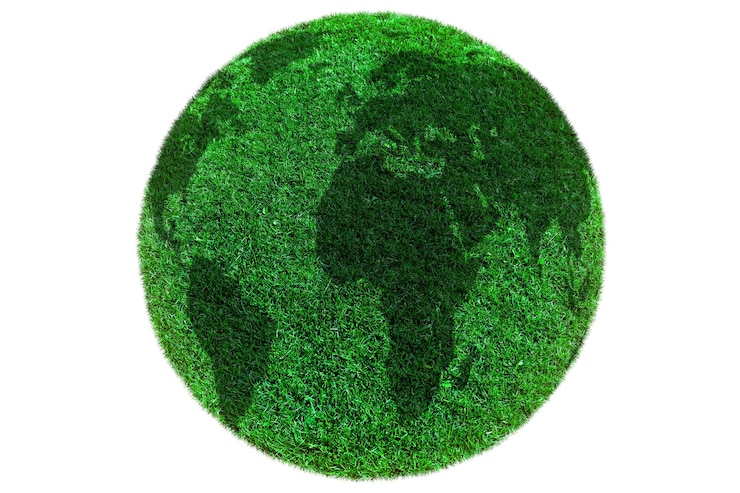 PSD herbe de terre verte