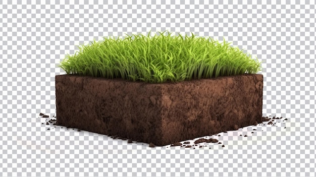 Herbe Verte Coupée Png