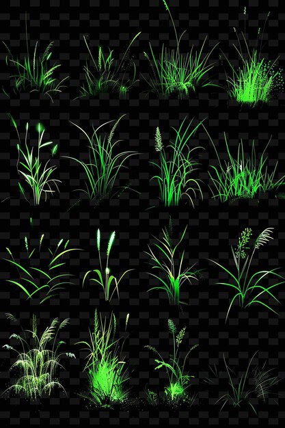 une herbe verte avec une lumière verte dessus