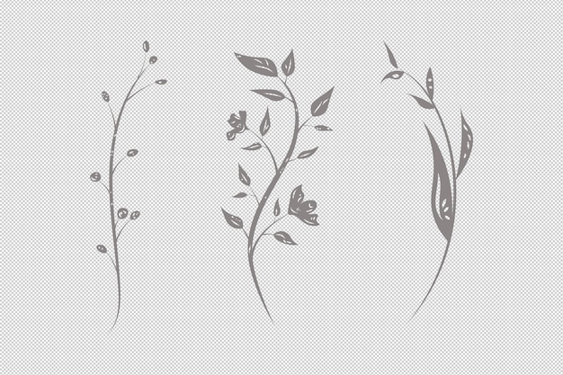 Herbes plantes et fleurs clipart en monochrome