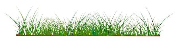 Les herbes
