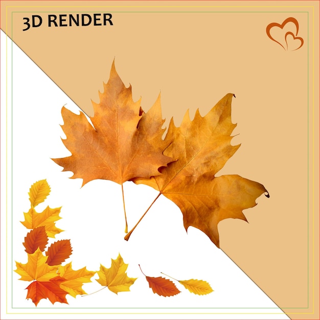 Herbst Ahornblatt Trockenes Blatt Gelbes Blattbaum Herbst Gelbe Farbe Blattgrenze