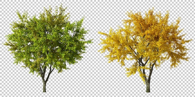 Herbstbäume mit lebendigen gelben und grünen blättern, durchsichtige hintergründe, 3d-render