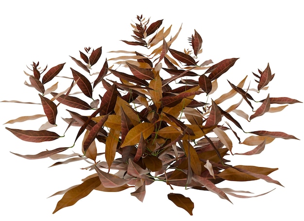 Herbstblätter Bush Fall Blätter Orange und Braun