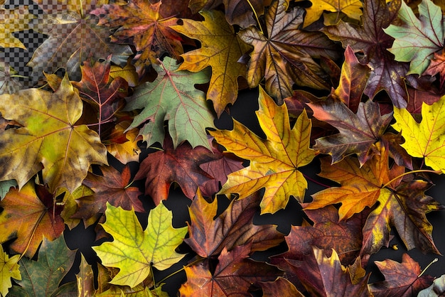 Herbstlaub-Hintergrund