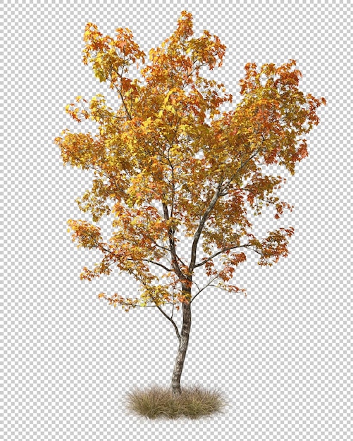 Herbstliche einzelne Baumformen auf getrocknetem Gras 3D-Rendering