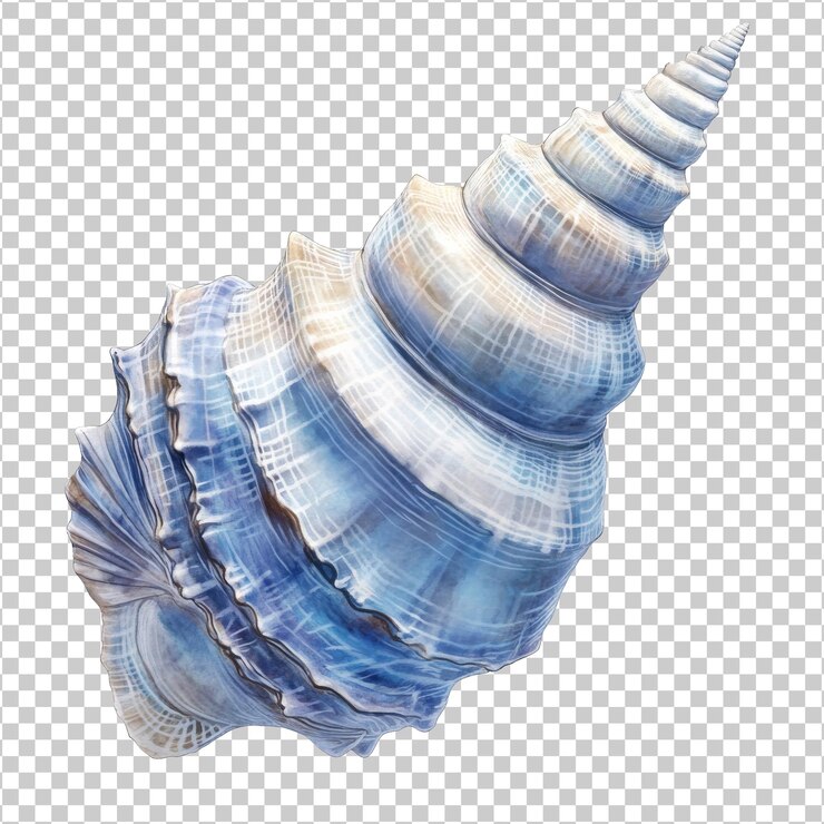 PSD una hermosa concha espiral azul encontrada en la playa