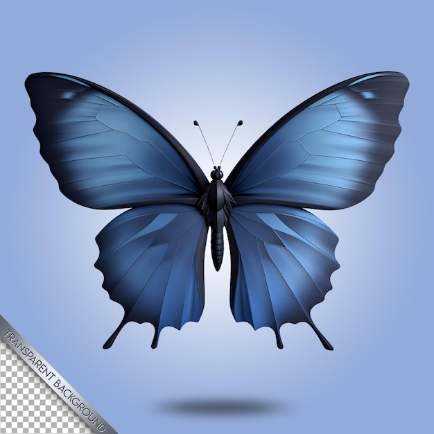 Hermosa mariposa fondo transparente