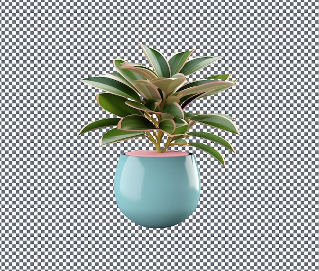 Una hermosa planta aislada sobre un fondo transparente