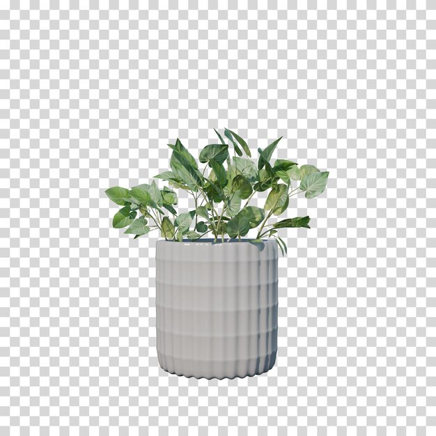 Una hermosa planta de interior en una olla blanca