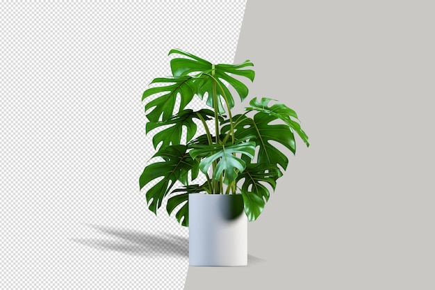 Hermosa planta en maceta en 3D rendering aislado