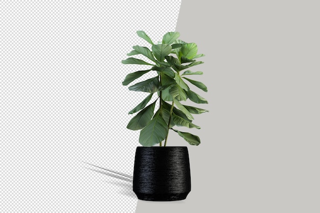 Hermosa planta en maceta en 3D rendering aislado