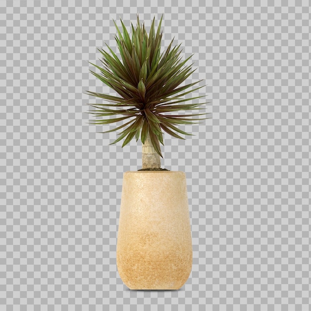 PSD hermosa planta en maceta en renderizado 3d aislado