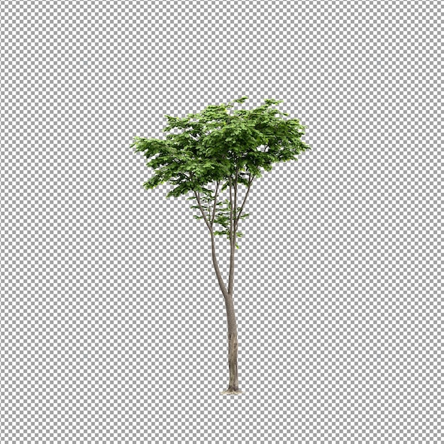 Hermosa planta en representación 3d aislada