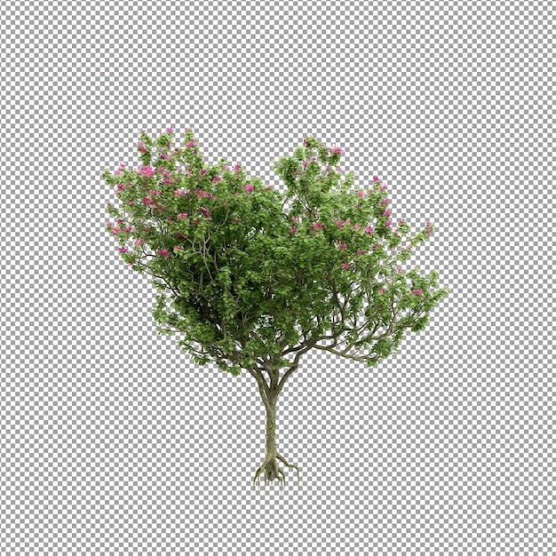 Hermosa planta en representación 3d aislada