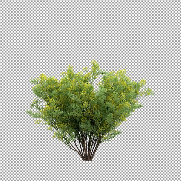 Hermosa planta en representación 3d aislada