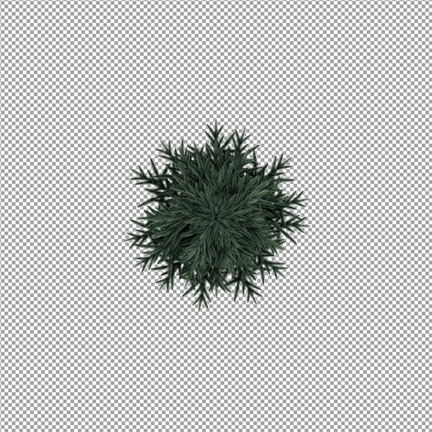 Hermosa planta en representación 3d aislada