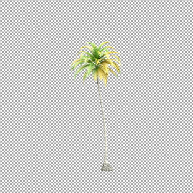 PSD hermosa planta en representación 3d aislada