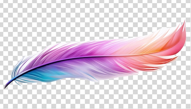 PSD una hermosa pluma de colores png