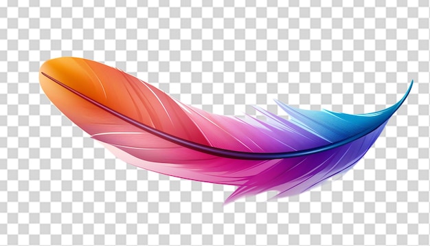 PSD una hermosa pluma de colores png