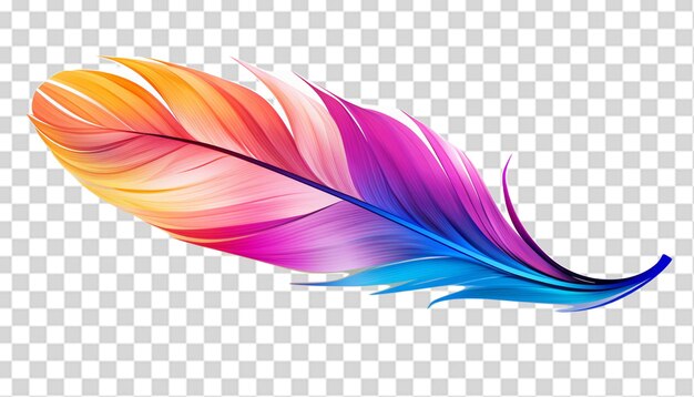 PSD una hermosa pluma de colores png