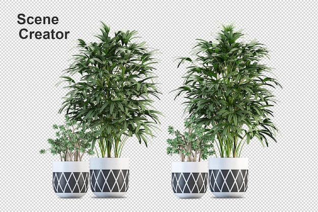 Hermosa variedad de cultivos en diferentes estilos.