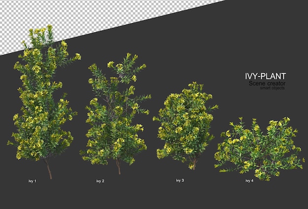 Hermosa variedad de flores en renderizado 3d