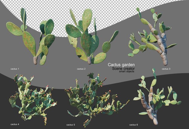 PSD hermosa variedad de jardín de cactus.