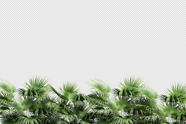 Hermosas diversas clases de flores en 3D rendering aislado