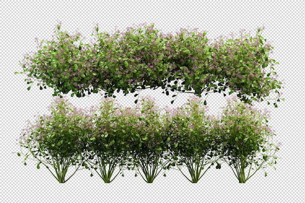 Hermosas diversas clases de flores en 3d rendering aislado