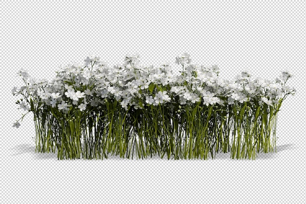 Hermosas diversas clases de flores en 3D rendering aislado