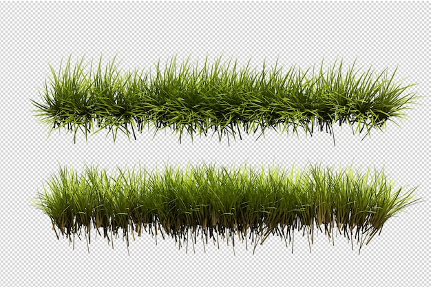 Hermosas diversas clases de flores en 3D rendering aislado