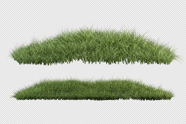 Hermosas diversas clases de flores en 3D rendering aislado
