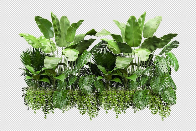 Hermosas diversas clases de flores en 3D rendering aislado