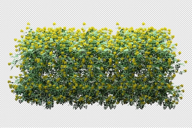 Hermosas diversas clases de flores en 3D rendering aislado