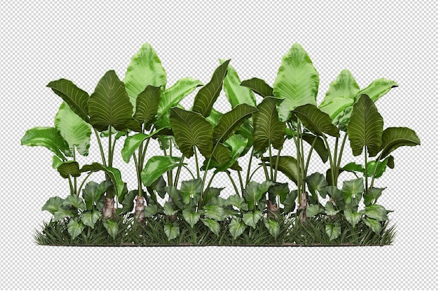 Hermosas diversas clases de flores en 3D rendering aislado