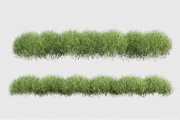 Hermosas diversas clases de flores en 3D rendering aislado