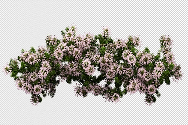 Hermosas diversas clases de flores en 3d rendering aislado