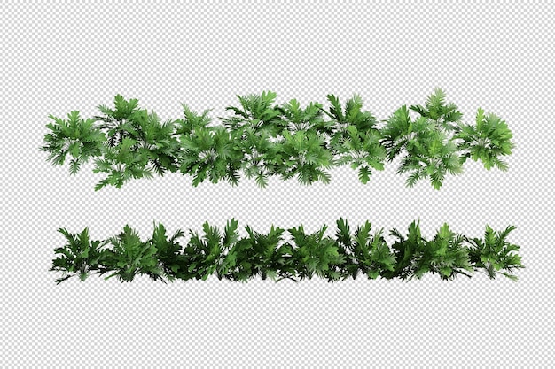 Hermosas diversas clases de flores en 3D rendering aislado