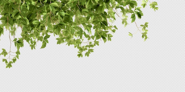 Hermosas diversas clases de flores en 3D rendering aislado