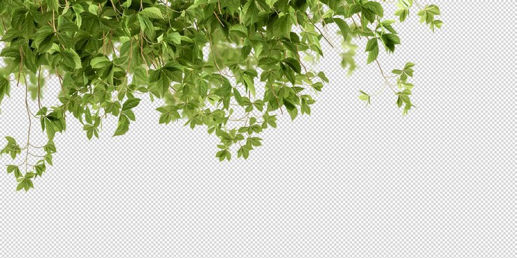 Hermosas diversas clases de flores en 3D rendering aislado