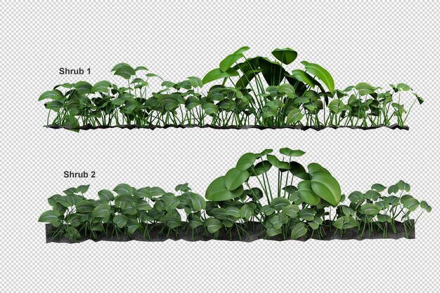 Hermosas diversas clases de flores aisladas representación