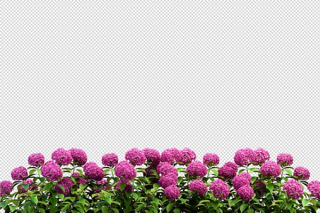 Hermosas diversas clases de flores en representación 3d
